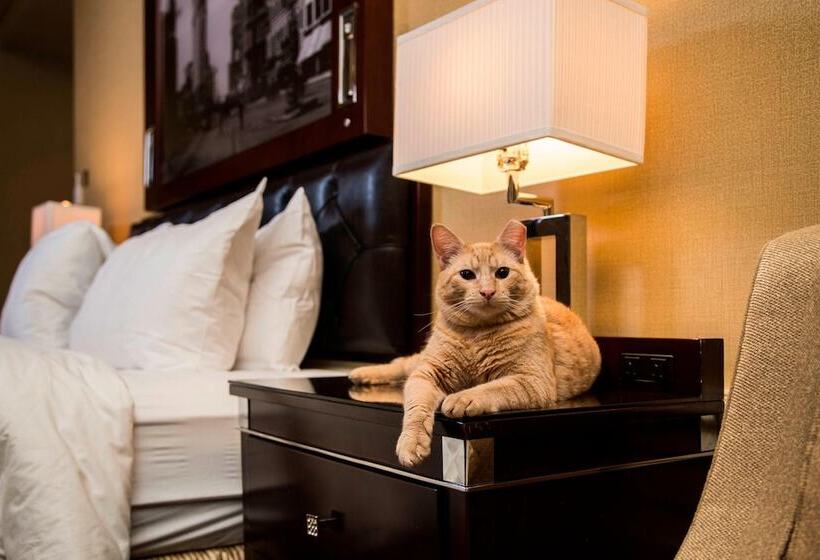 The Algonquin Hotel Times Square, Autograph Collection