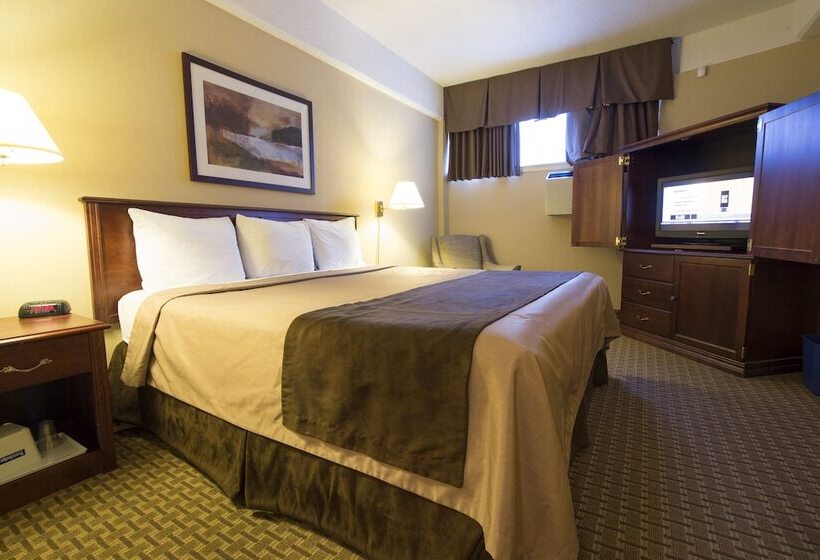فندق Travelodge By Wyndham Thunder Bay On