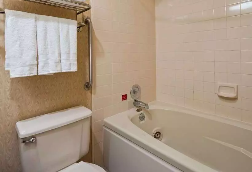 Otel Best Western Inn & Suites