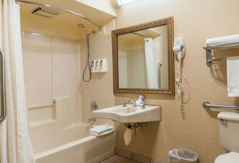 Otel Best Western Inn & Suites