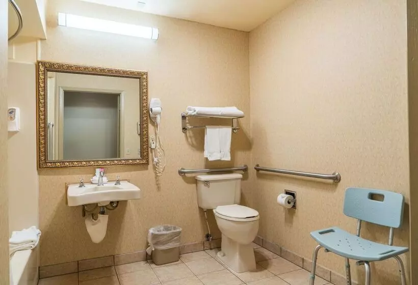 Otel Best Western Inn & Suites