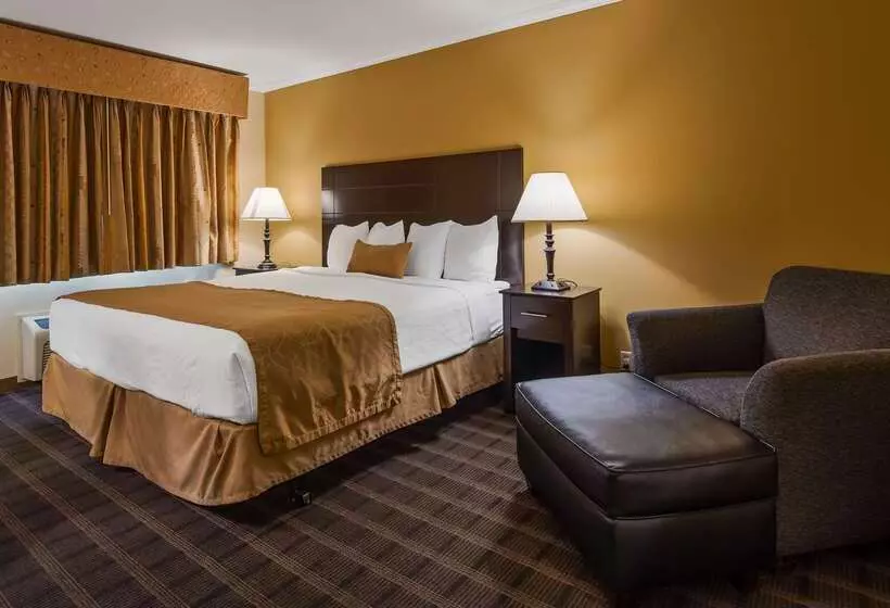 Otel Best Western Inn & Suites