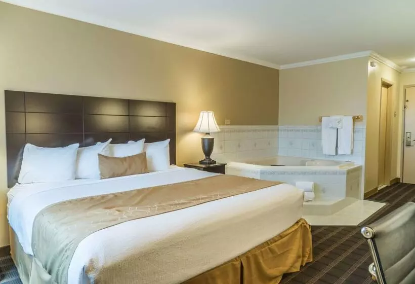 Otel Best Western Inn & Suites