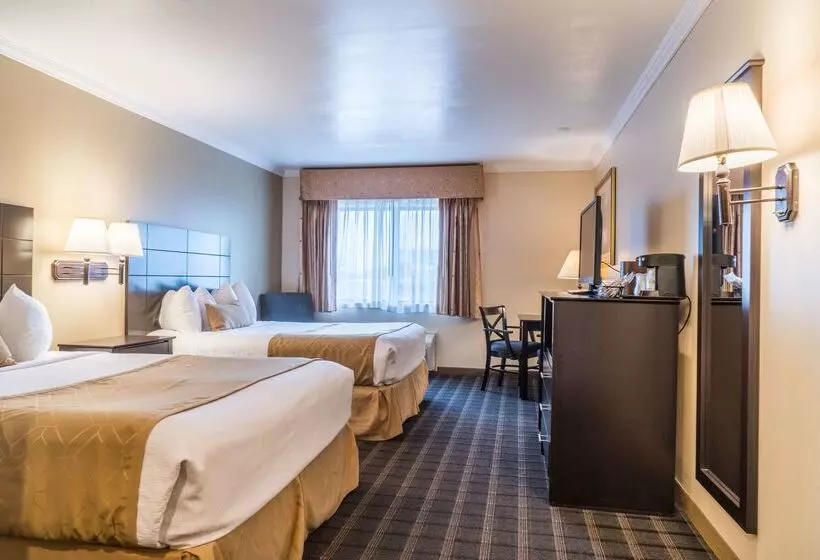 Otel Best Western Inn & Suites