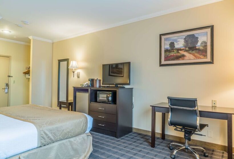 فندق Best Western Inn & Suites