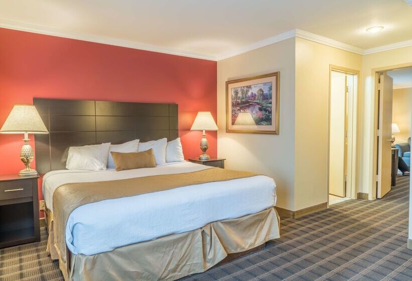 فندق Best Western Inn & Suites