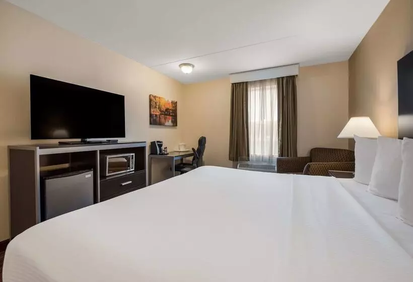 فندق Best Western Philadelphia South West Deptford Inn