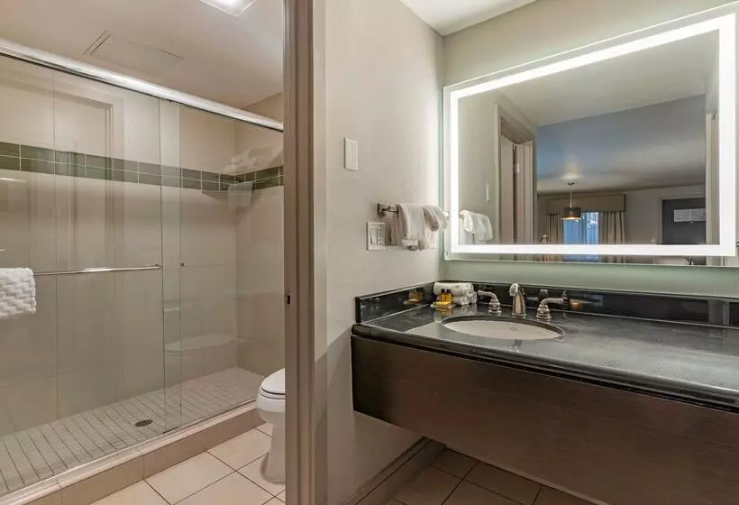 酒店 Best Western Plus Executive Suites