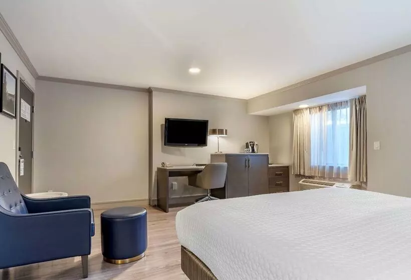 酒店 Best Western Plus Executive Suites