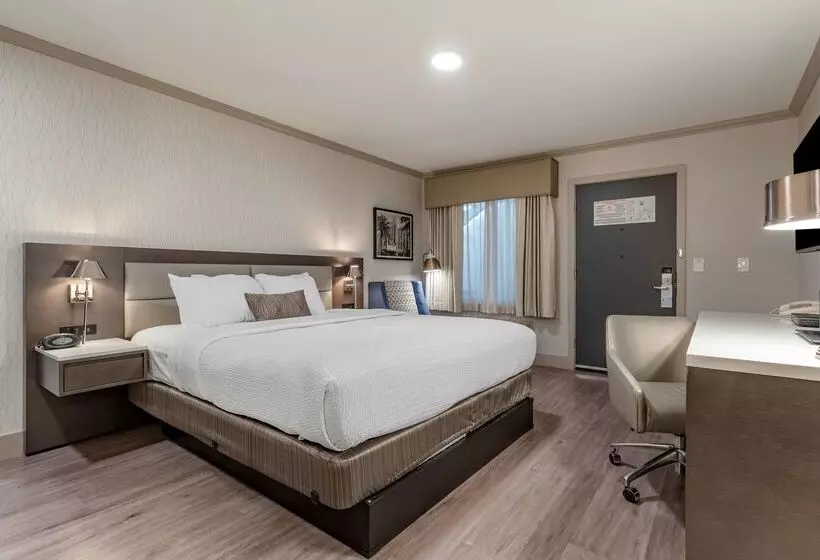 酒店 Best Western Plus Executive Suites