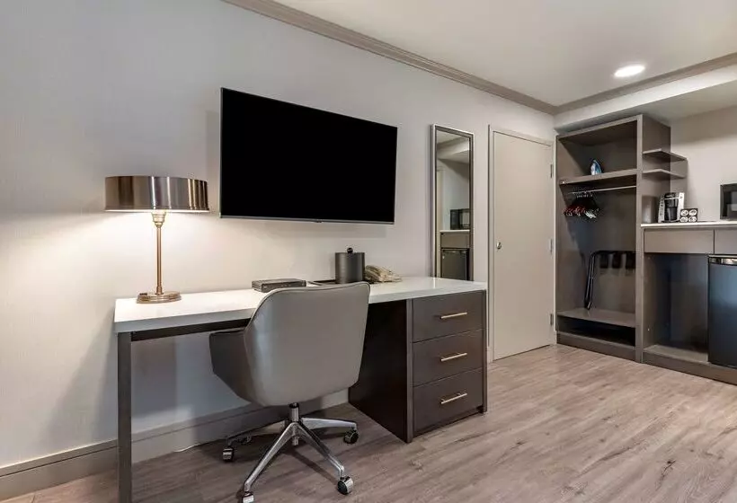 酒店 Best Western Plus Executive Suites