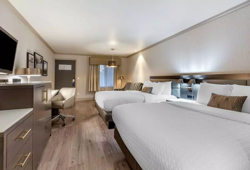 酒店 Best Western Plus Executive Suites