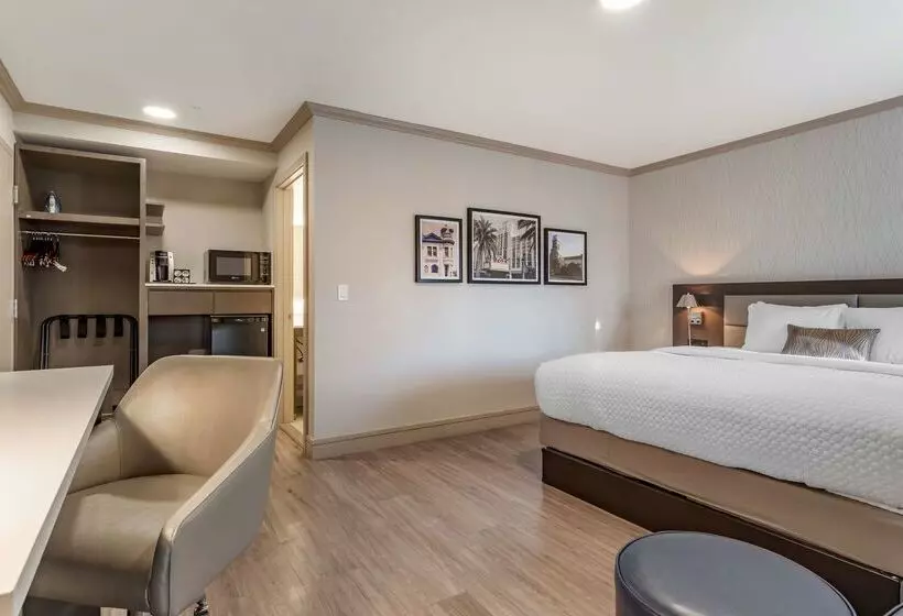 酒店 Best Western Plus Executive Suites