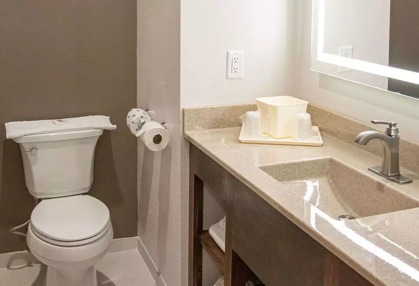 호텔 Comfort Inn Sioux City South