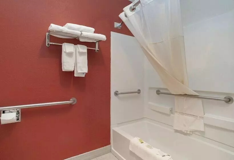 Отель Days Inn & Suites By Wyndham Mt Pleasant