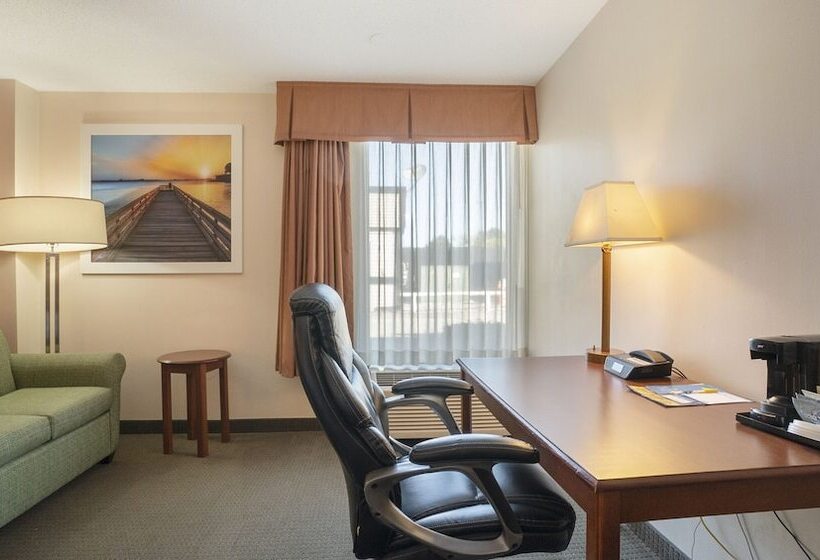 Отель Days Inn & Suites By Wyndham Mt Pleasant