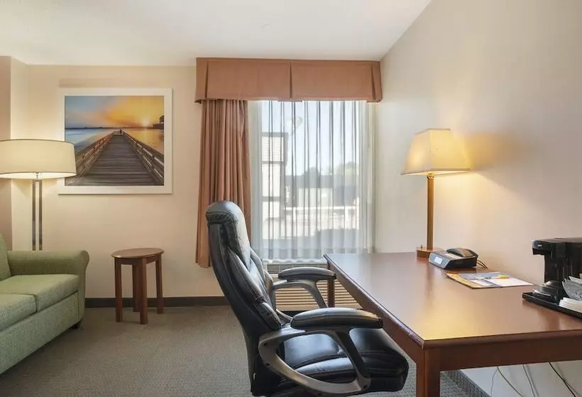 Отель Days Inn & Suites By Wyndham Mt Pleasant