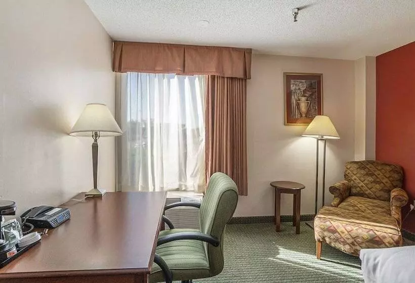 Отель Days Inn & Suites By Wyndham Mt Pleasant