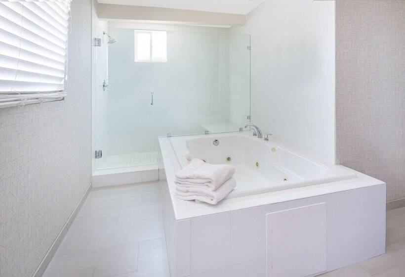 فندق Holiday Inn Express San Diego Airport Old Town, An Ihg