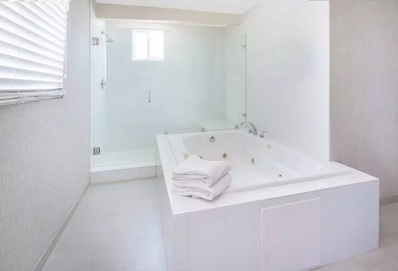 酒店 Holiday Inn Express San Diego Airport Old Town, An Ihg