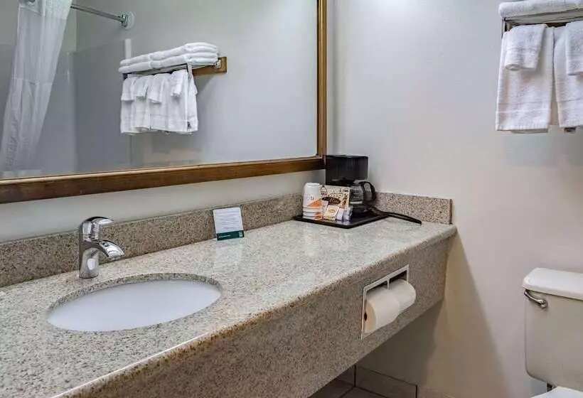 هتل Quality Inn & Suites Vancouver North