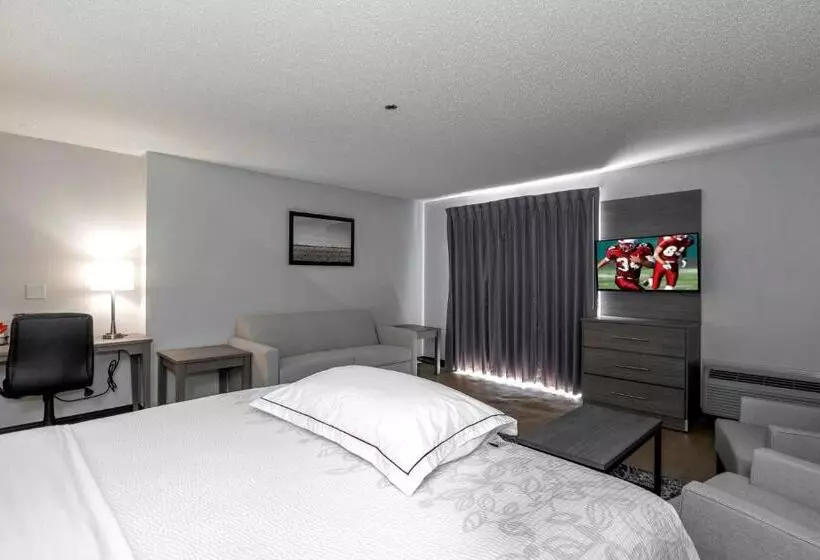 فندق Red Roof Inn Plus Boston   Mansfield   Foxboro