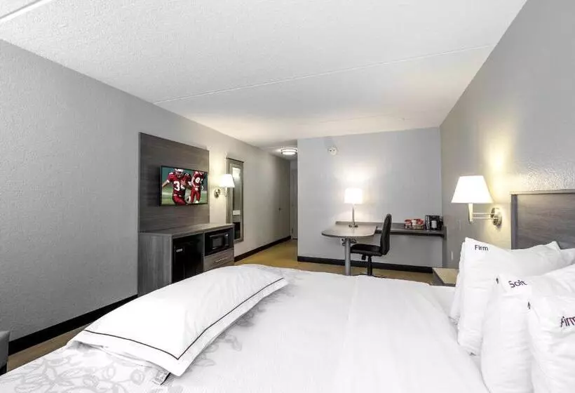 فندق Red Roof Inn Plus Boston   Mansfield   Foxboro