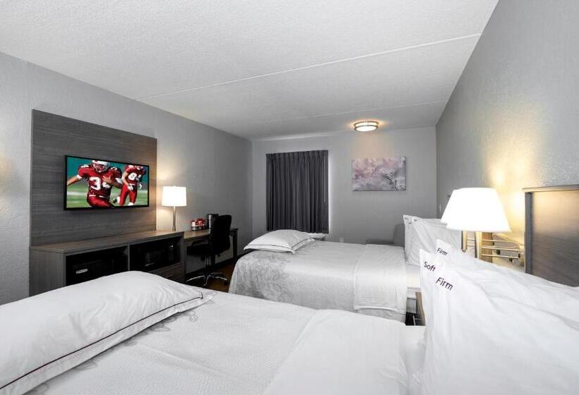 酒店 Red Roof Inn Plus Boston   Mansfield   Foxboro