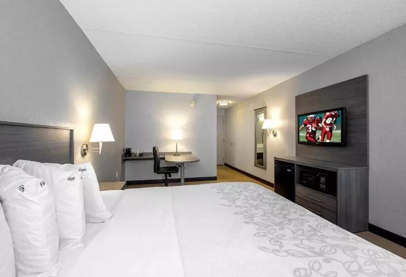 فندق Red Roof Inn Plus Boston   Mansfield   Foxboro