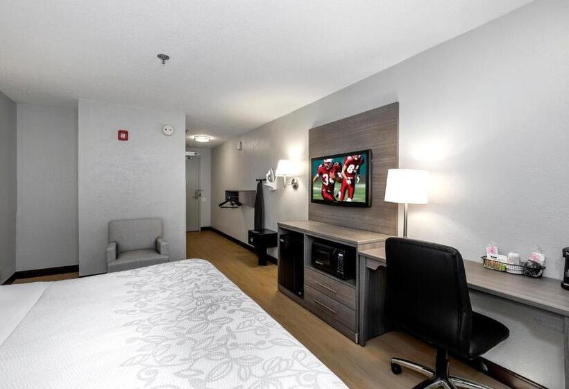 酒店 Red Roof Inn Plus Boston   Mansfield   Foxboro