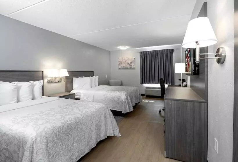 فندق Red Roof Inn Plus Boston   Mansfield   Foxboro