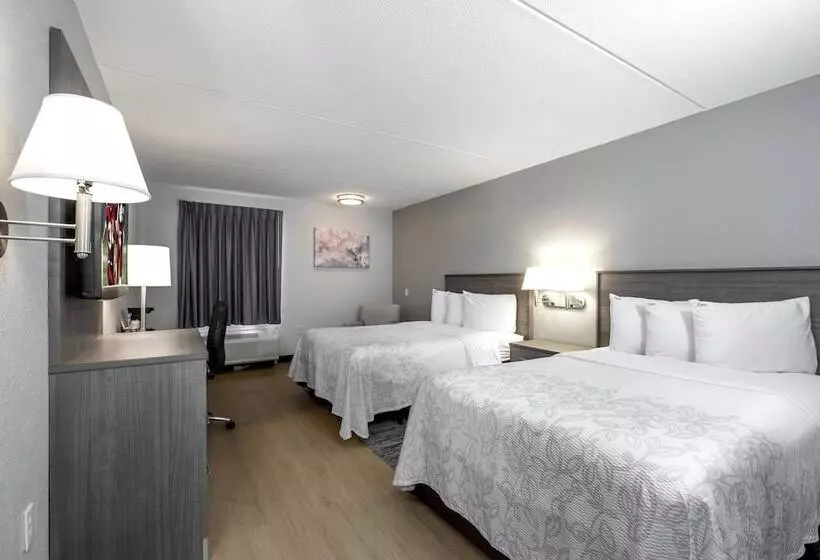 فندق Red Roof Inn Plus Boston   Mansfield   Foxboro