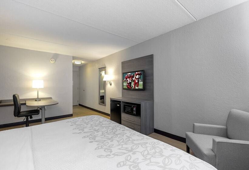 酒店 Red Roof Inn Plus Boston   Mansfield   Foxboro