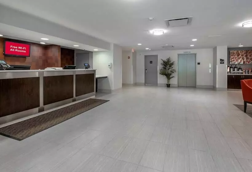 فندق Red Roof Inn Plus Boston   Mansfield   Foxboro