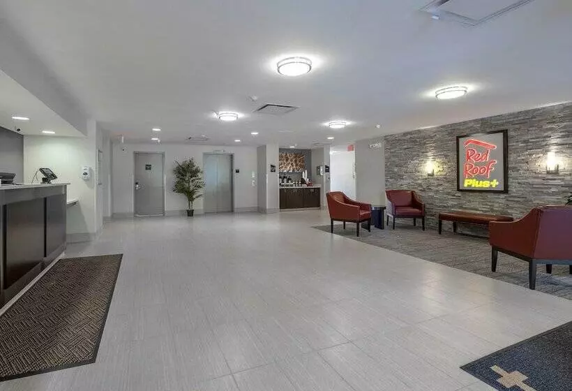 فندق Red Roof Inn Plus Boston   Mansfield   Foxboro