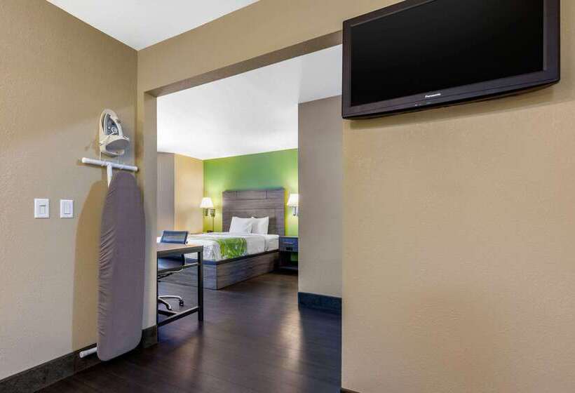 酒店 Rodeway Inn Tuscaloosa Near University