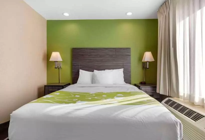 ホテル Rodeway Inn Tuscaloosa Near University