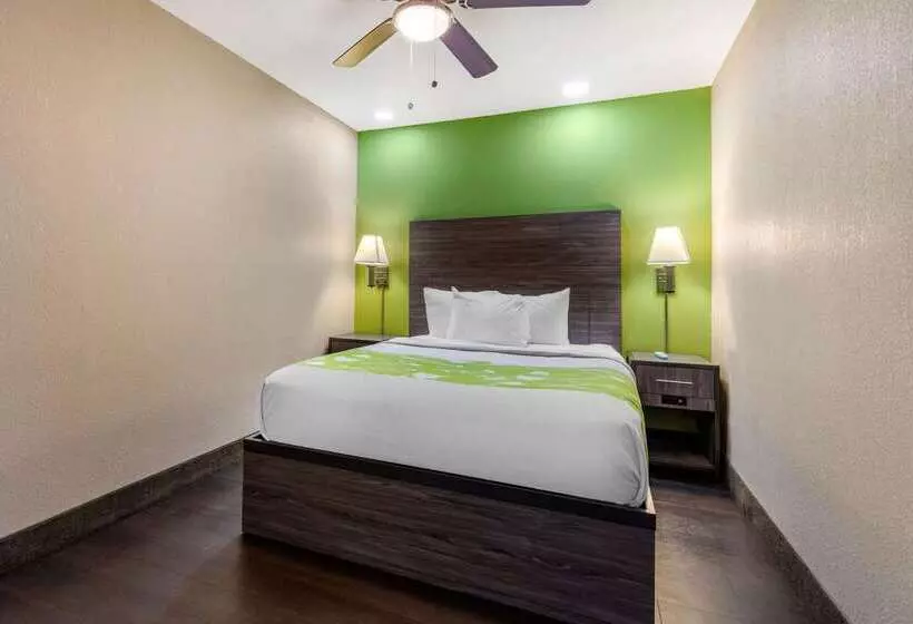 ホテル Rodeway Inn Tuscaloosa Near University