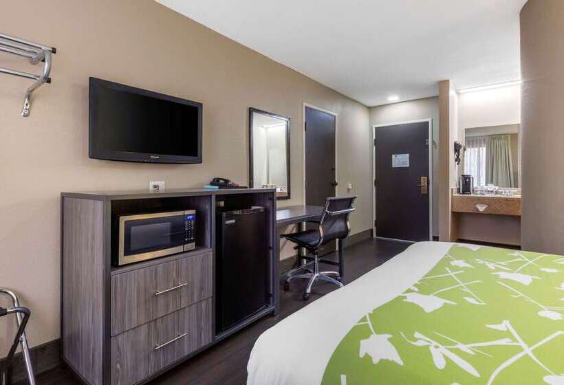 酒店 Rodeway Inn Tuscaloosa Near University