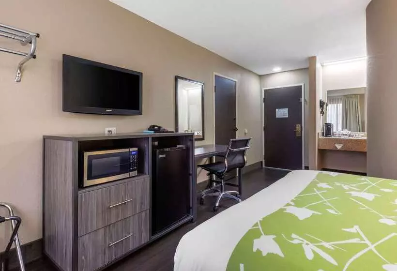 ホテル Rodeway Inn Tuscaloosa Near University