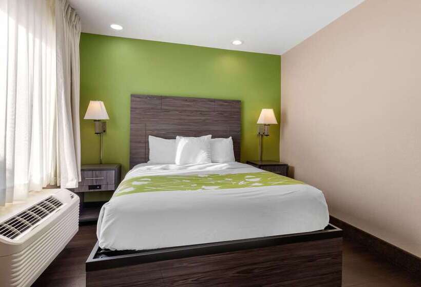 酒店 Rodeway Inn Tuscaloosa Near University