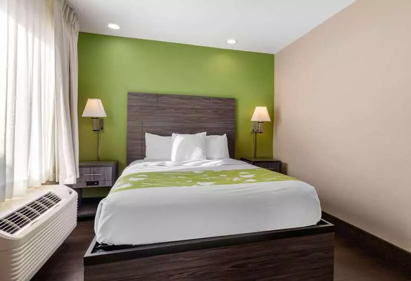 ホテル Rodeway Inn Tuscaloosa Near University