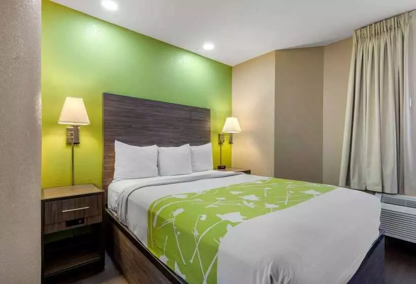 ホテル Rodeway Inn Tuscaloosa Near University