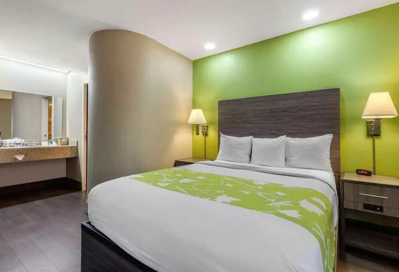 ホテル Rodeway Inn Tuscaloosa Near University