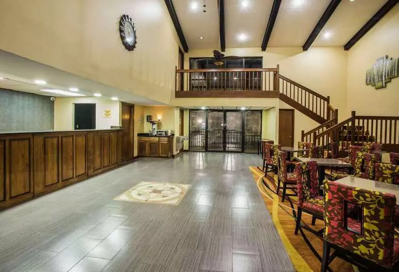 בית מלון כפרי Super 8 By Wyndham Paragould