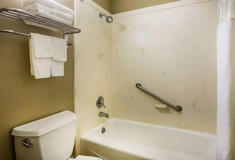 בית מלון כפרי Super 8 By Wyndham Paragould