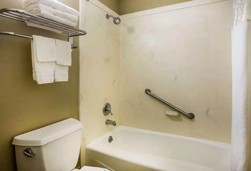 בית מלון כפרי Super 8 By Wyndham Paragould