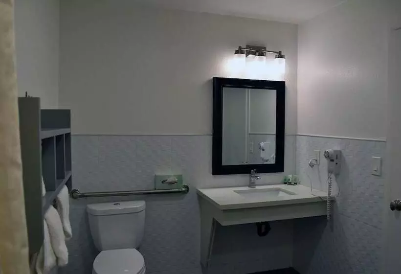 בית מלון כפרי Sand Dollar Inn