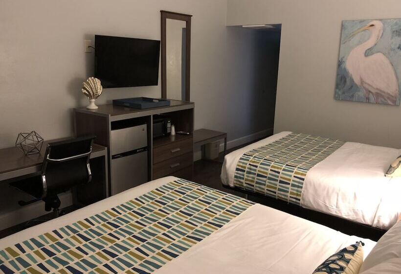 فندق Sand Dollar Inn