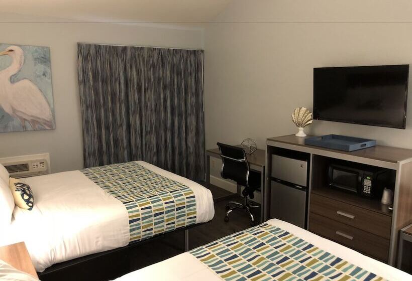 فندق Sand Dollar Inn